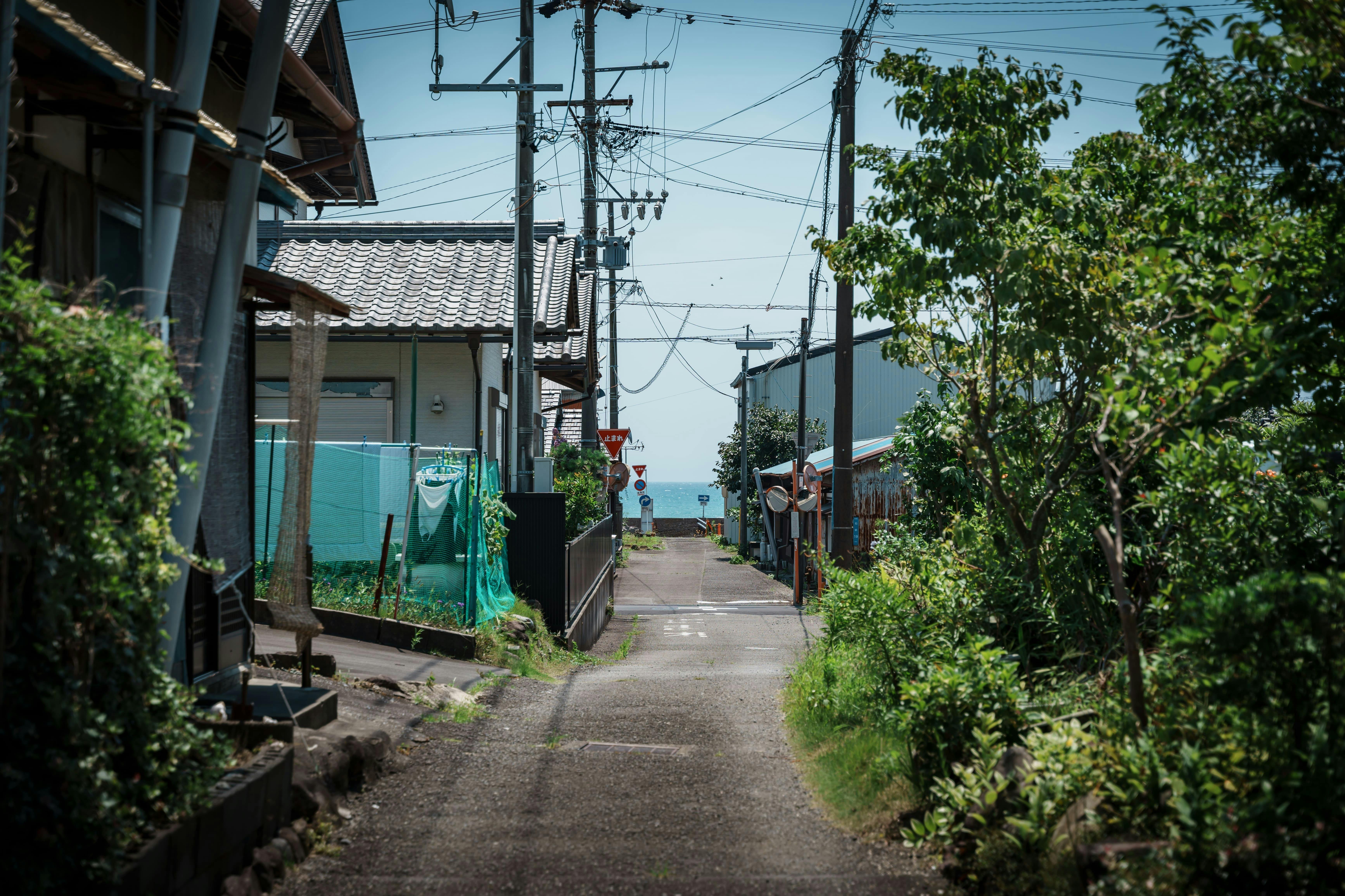静岡市の港町、用宗で築90年の古民家を「宿＆シェアスペース」として