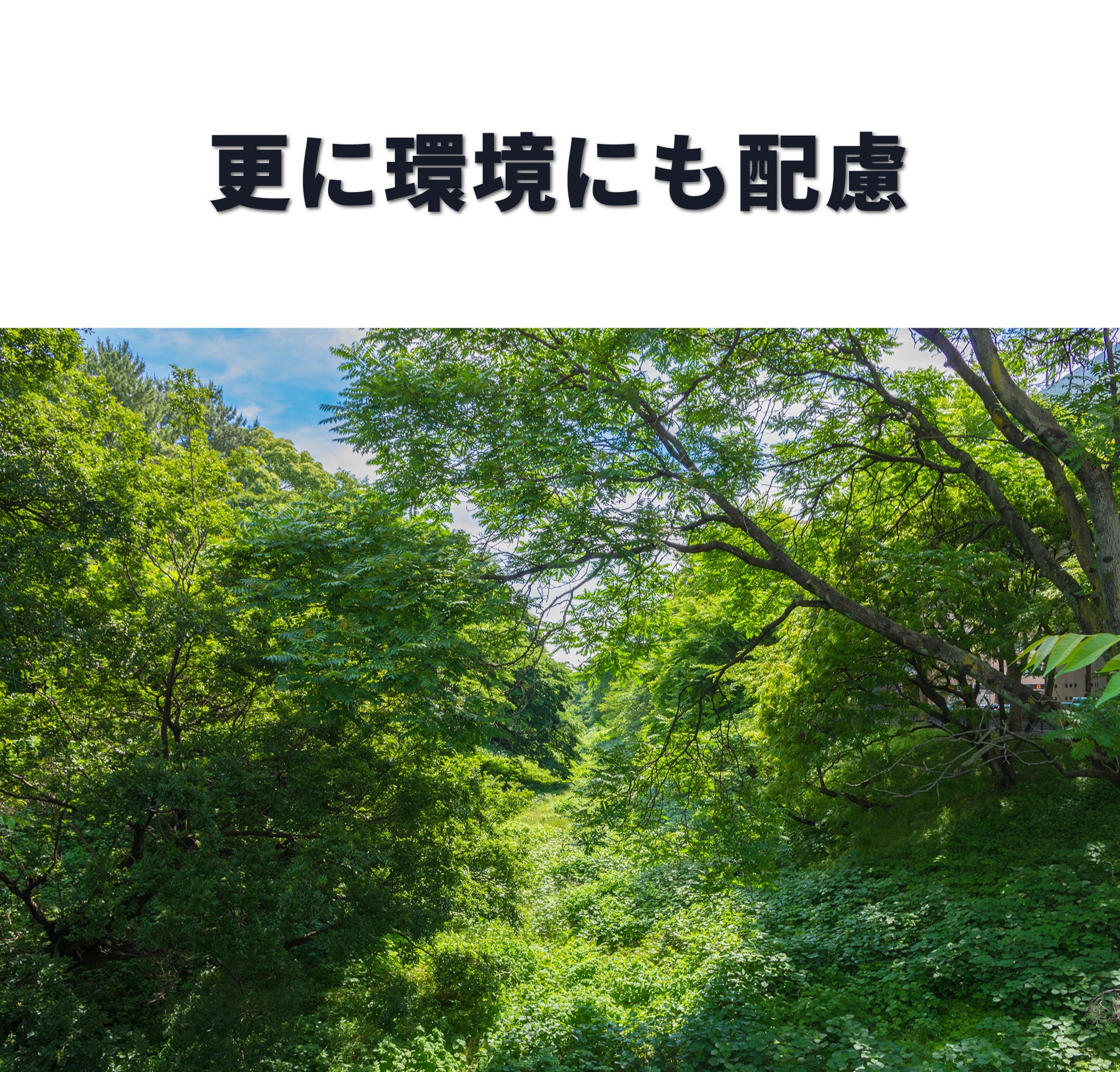 足裏アーチはこれ1つでOK！ 日本の木材ひのきで 世界の足をアクティブ