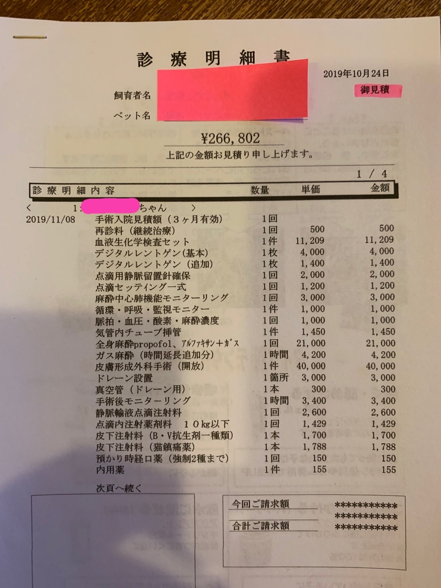 手術費・治療費のお願い】真菌と細菌に冒されても戦い続ける猫を救い