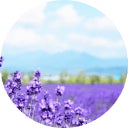 北海道地方