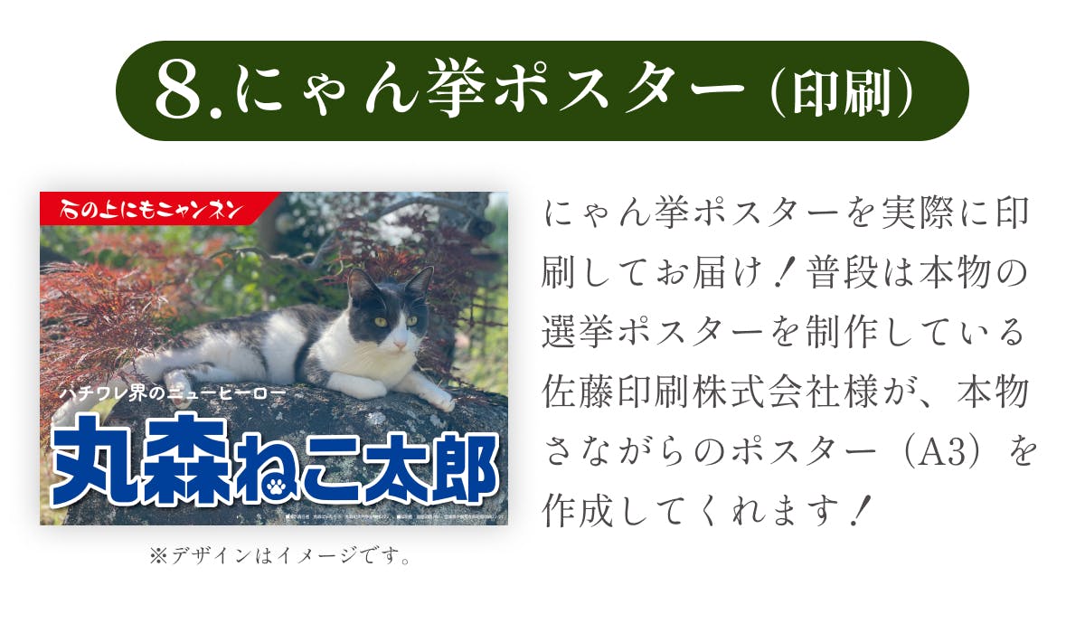 宮城県丸森町｜猫を神様とあがめる「猫神神社」をつくり消滅可能自治体からの脱却を！ - CAMPFIRE (キャンプファイヤー)