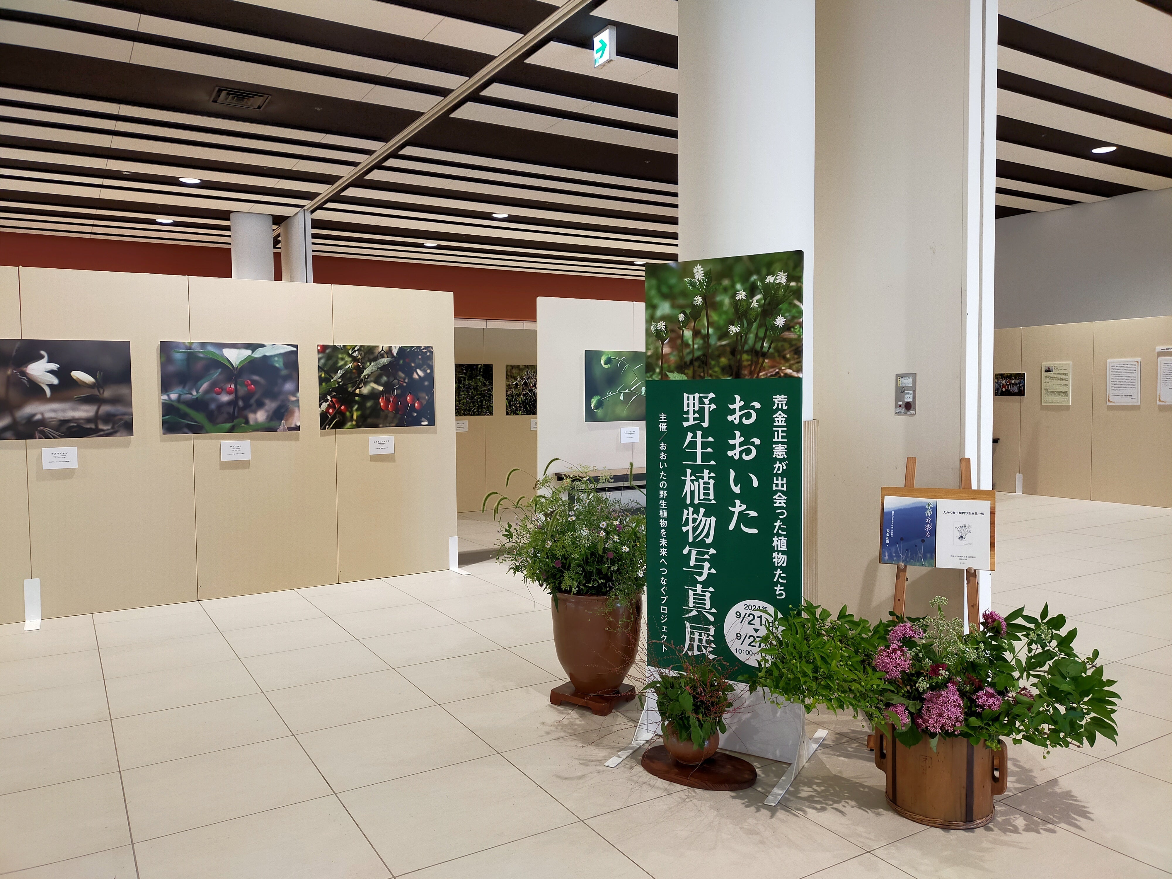 消えゆく大分の貴重な野生植物、未来に残すための写真展を参加費無料で