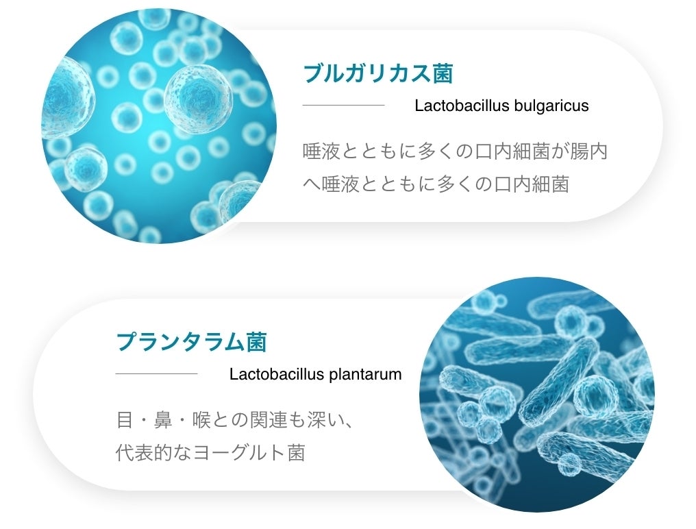 口腔内フローラを整えてお口の病気予防から全身の健康つくり