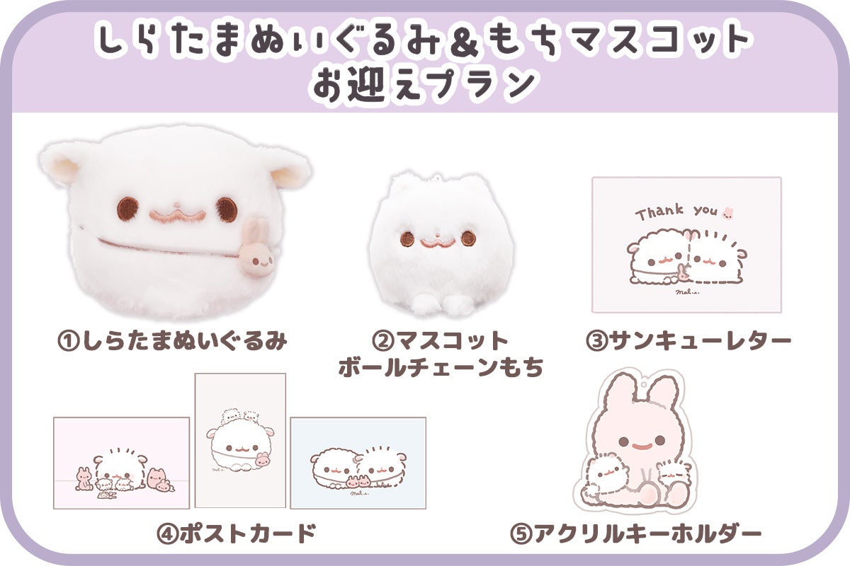ポメラニアンもち「しらたま」ぬいぐるみ化プロジェクト - CAMPFIRE