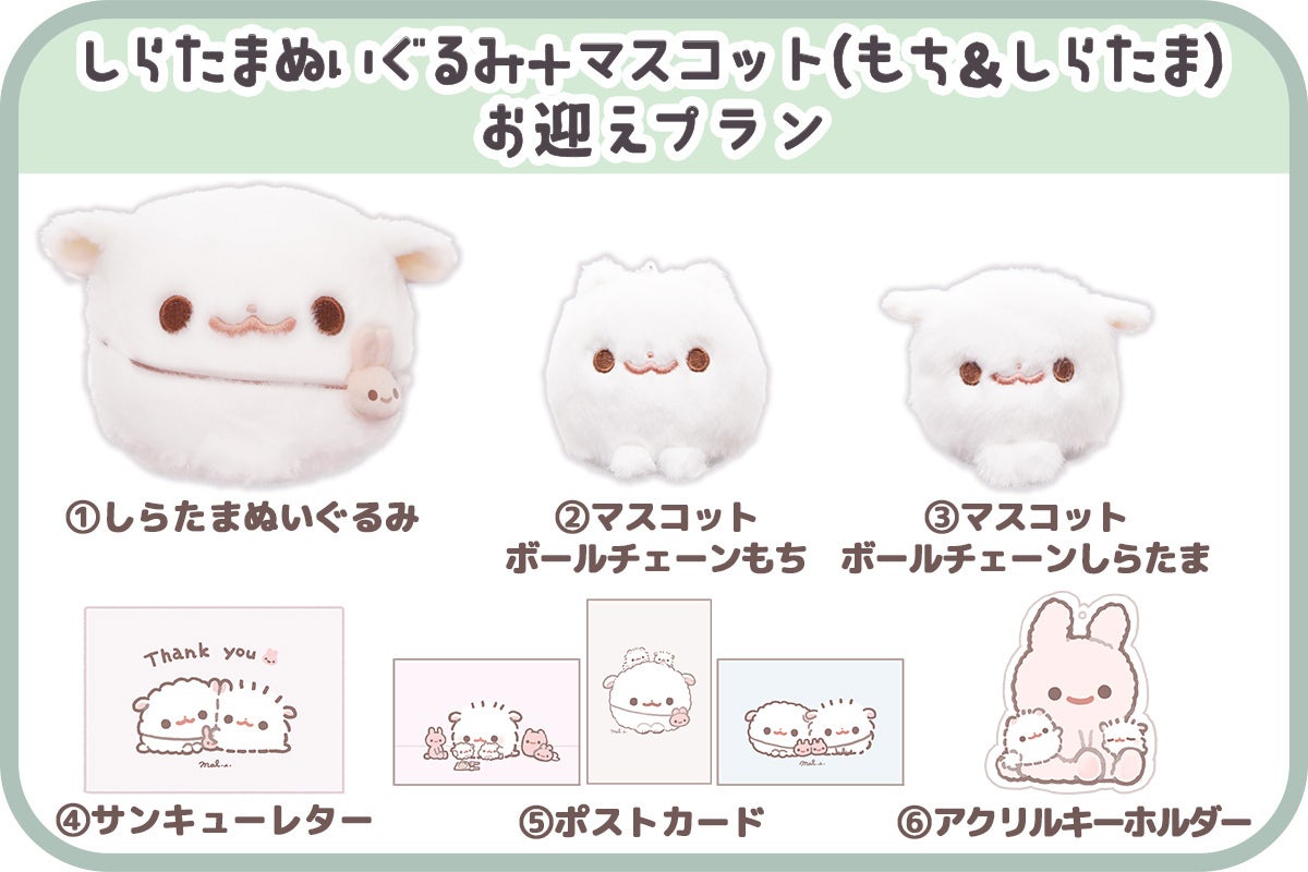 ポメラニアンもち「しらたま」ぬいぐるみ化プロジェクト - CAMPFIRE