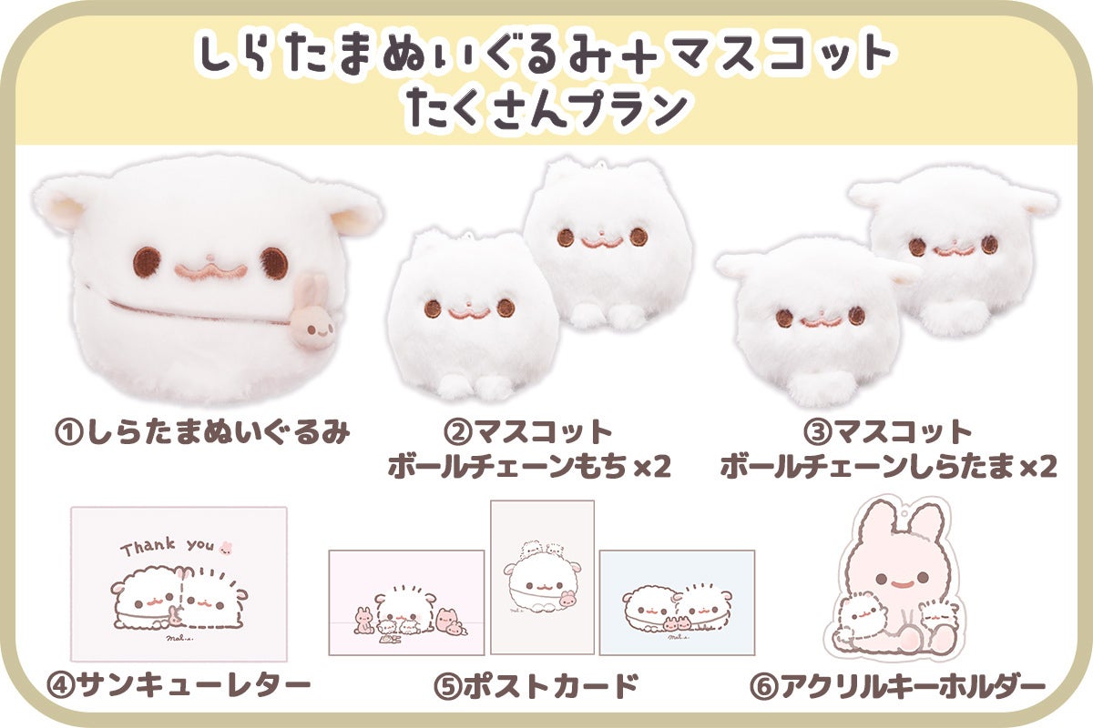 ポメラニアンもち「しらたま」ぬいぐるみ化プロジェクト - CAMPFIRE
