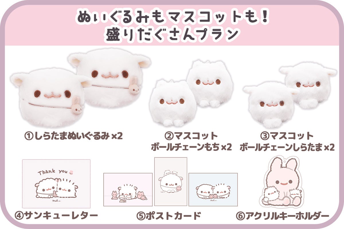 ポメラニアンもち「しらたま」ぬいぐるみ化プロジェクト - CAMPFIRE