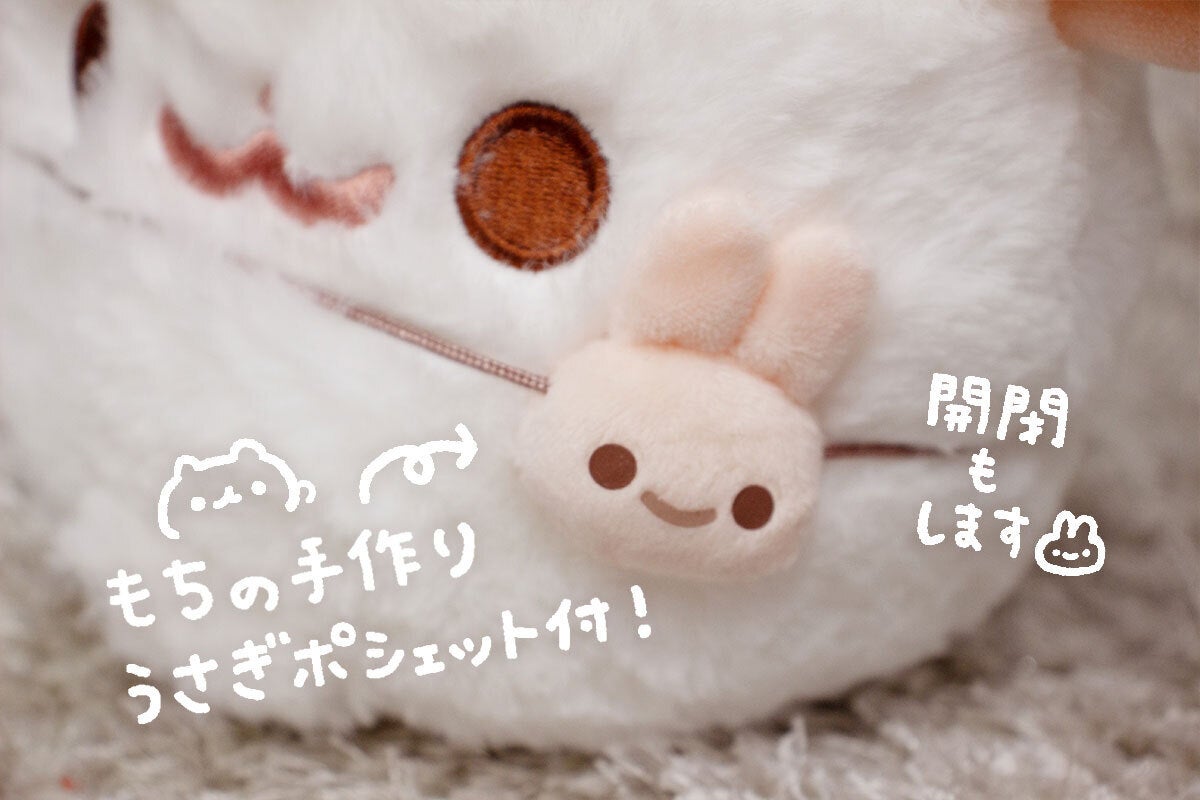 ポメラニアンもち「しらたま」ぬいぐるみ化プロジェクト - CAMPFIRE