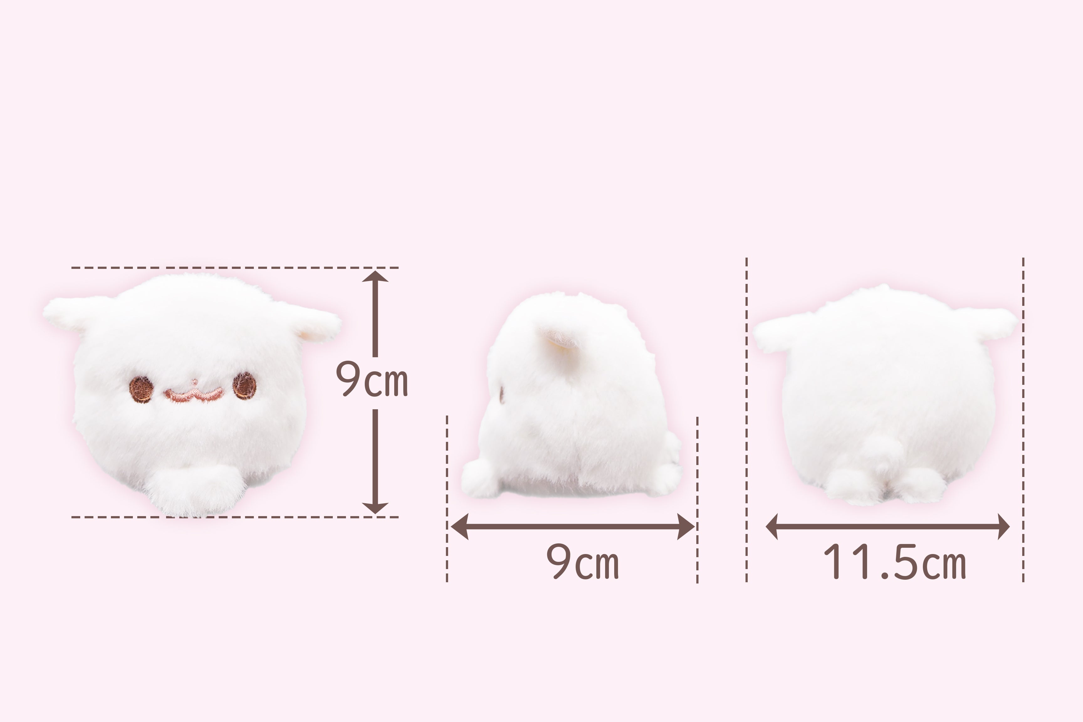 ポメラニアンもち クラウドファンディング 直筆サイン 色紙 しらたま mochi Amazon.co.jp: ポメラニアンもち mal もち しらたま サイン 直筆サイン