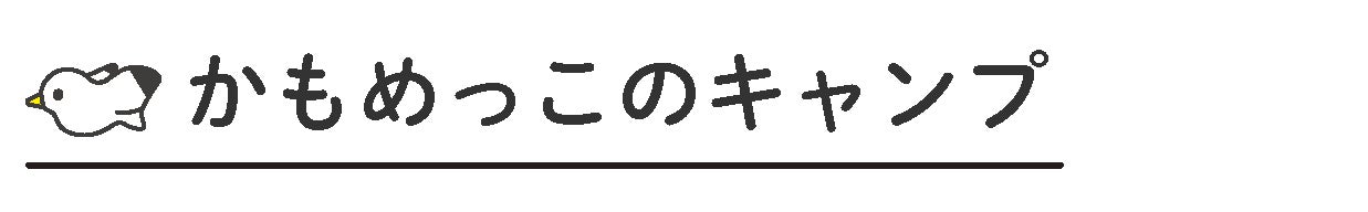 かもめっこのキャンプ