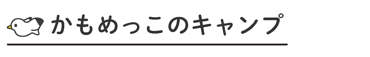 かもめっこのキャンプ