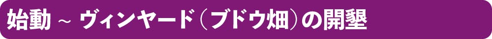 始動 ~ ヴィンヤード（ブドウ畑）の開墾