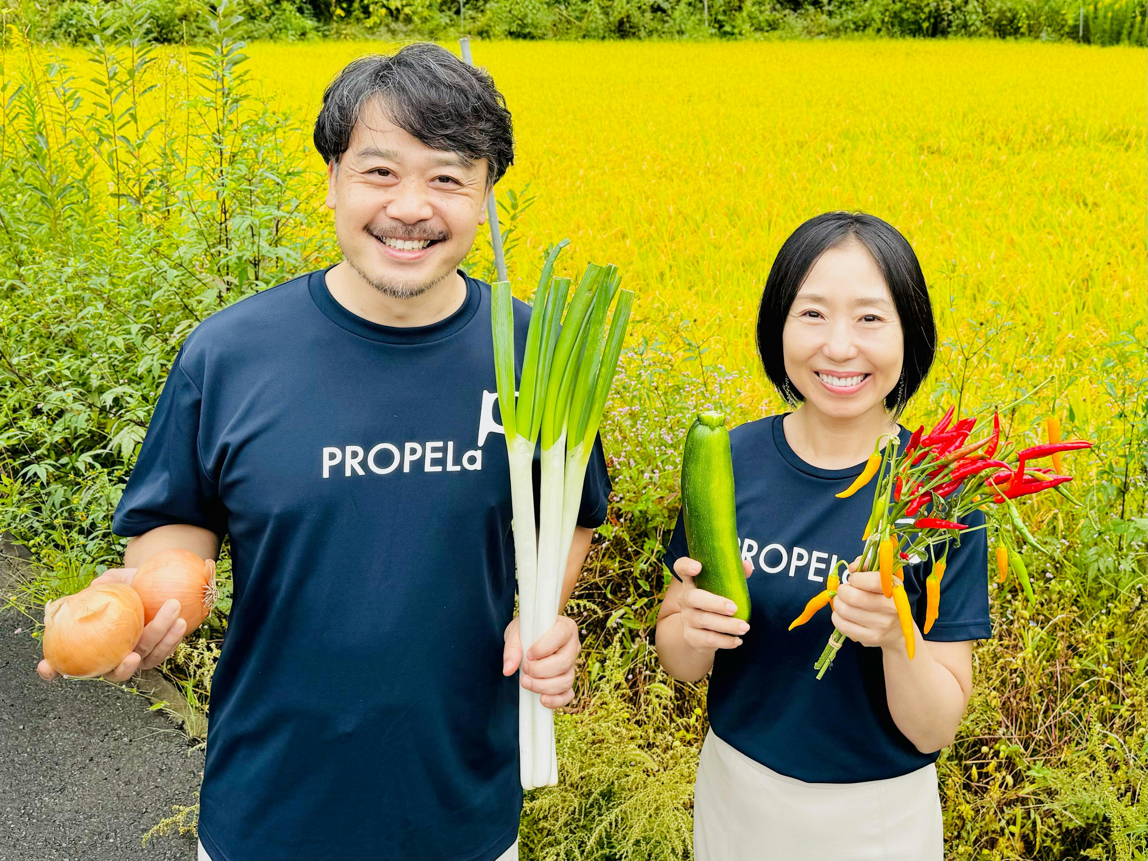 南阿蘇村から学校給食を変えよう！地産地消DXで子供たちと生産者を元気にしたい！ - CAMPFIRE (キャンプファイヤー)