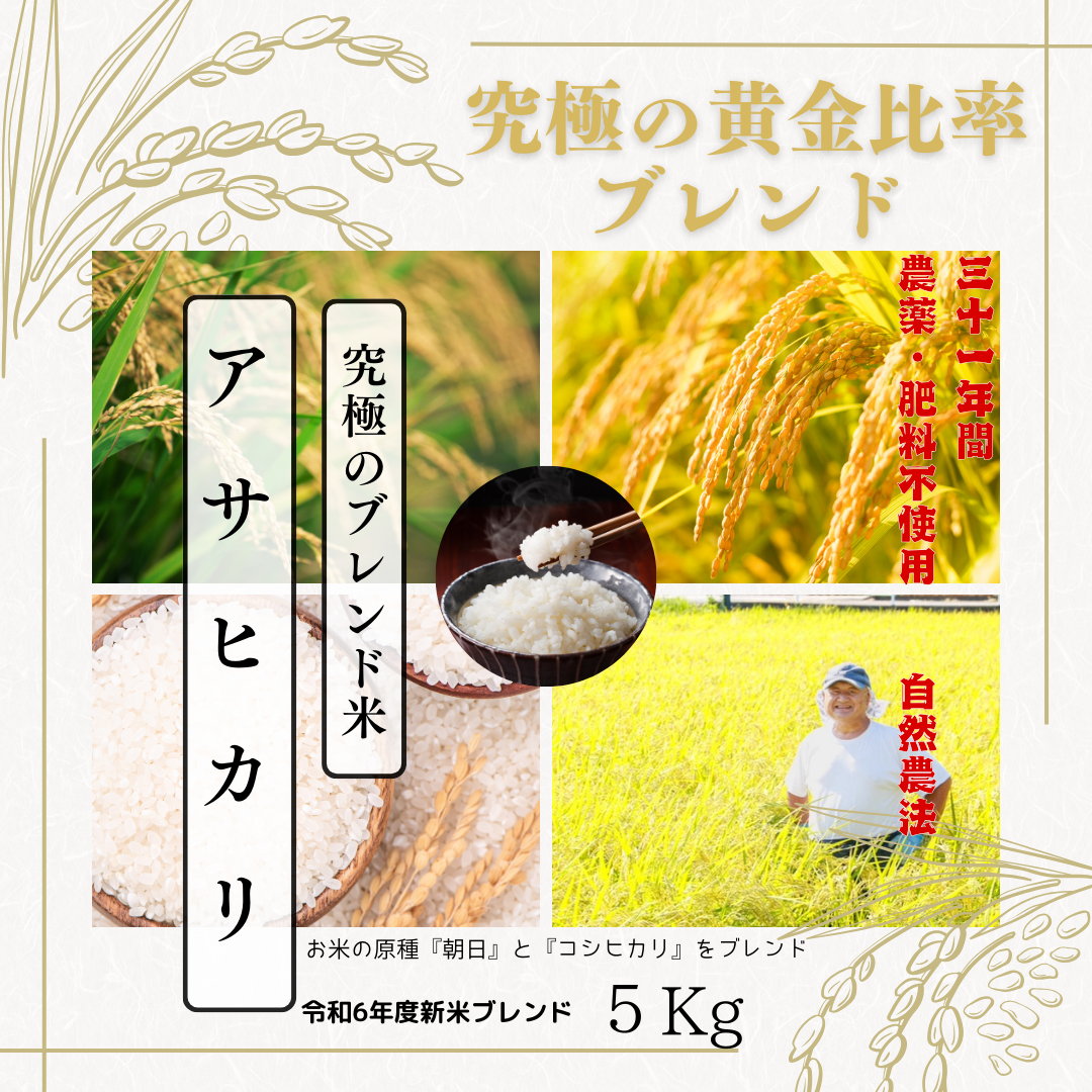 ☆お得安価☆令和5年三重県産コシヒカリ！玄米10Kg！農家直送限定