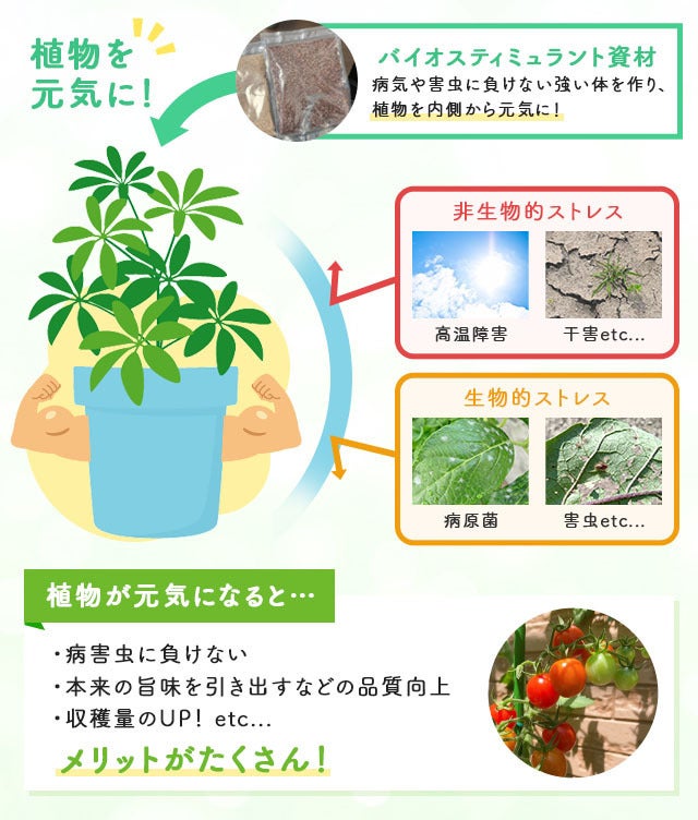 天然由来原料のナチュラル＆エコフレンドリーな植物活性剤で植物を元気