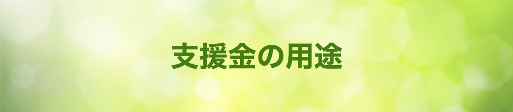 支援金の用途