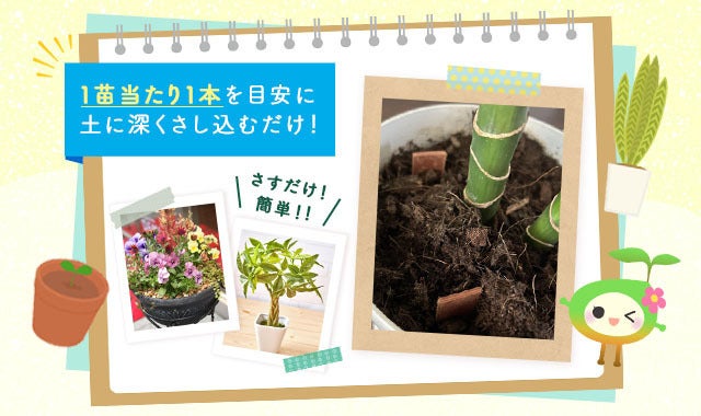 天然由来原料のナチュラル＆エコフレンドリーな植物活性剤で植物を元気