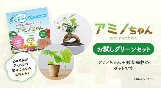 天然由来原料のナチュラル＆エコフレンドリーな植物活性剤で植物を元気