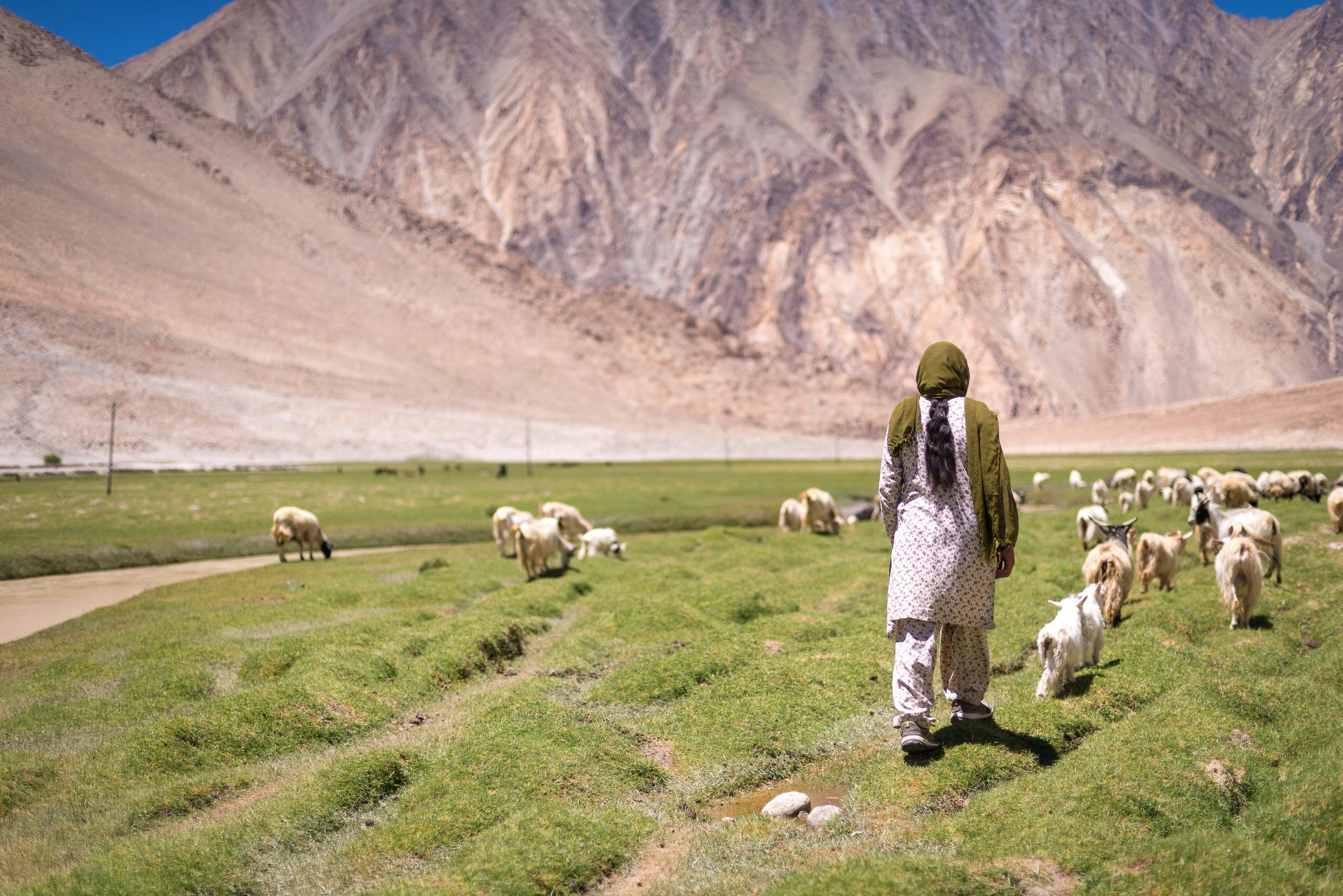 チクチクしない 山羊のあごひげと胸毛だけで作られた最上等級のカシミヤマフラー Campfire キャンプファイヤー