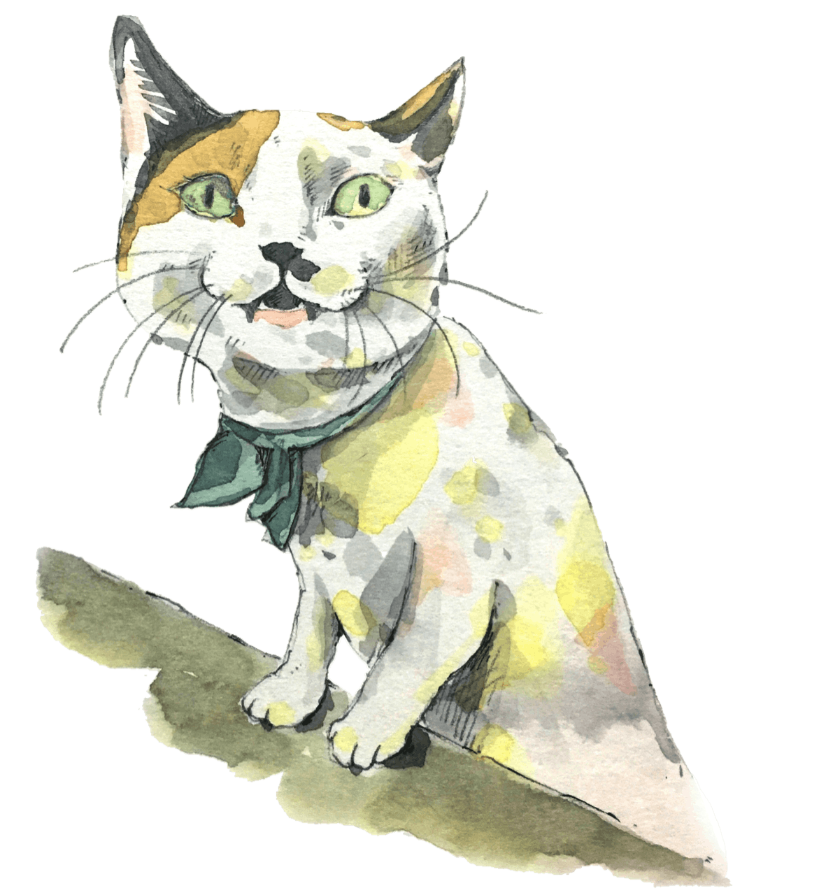 猫 音楽 本がコンセプトのカフェモフリーに本屋を併設 もふり書房 を作りたい Campfire キャンプファイヤー 猫 音楽 本がコンセプトのカフェモフリーに本屋を併設 もふり書房 を作りたい Campfire キャンプファイヤー