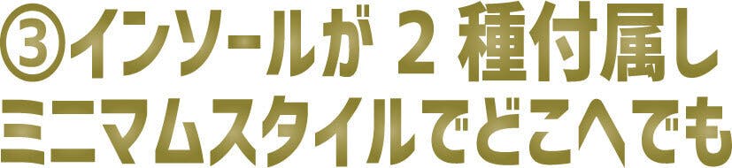 ③インソールが2種付属しミニマムスタイルでどこへでも