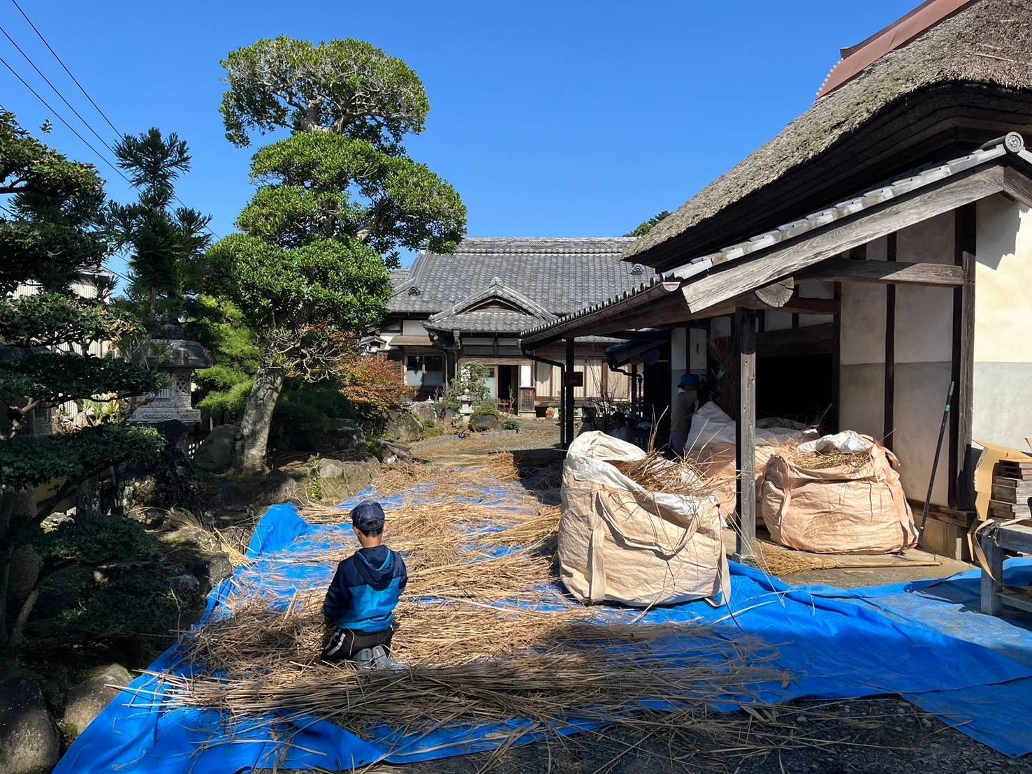 茅ぶき屋根よ、よみがえれ！39年ぶりの葺替えで、ふるさとの技と心を