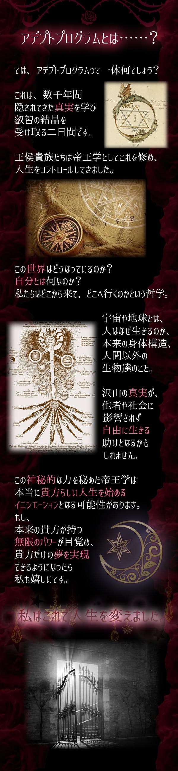 ヴァンパイアから真の帝王学を学んで 生きづらさに終止符を Campfire キャンプファイヤー ヴァンパイアから真の帝王学を学んで 生きづらさに終止符を Campfire キャンプファイヤー