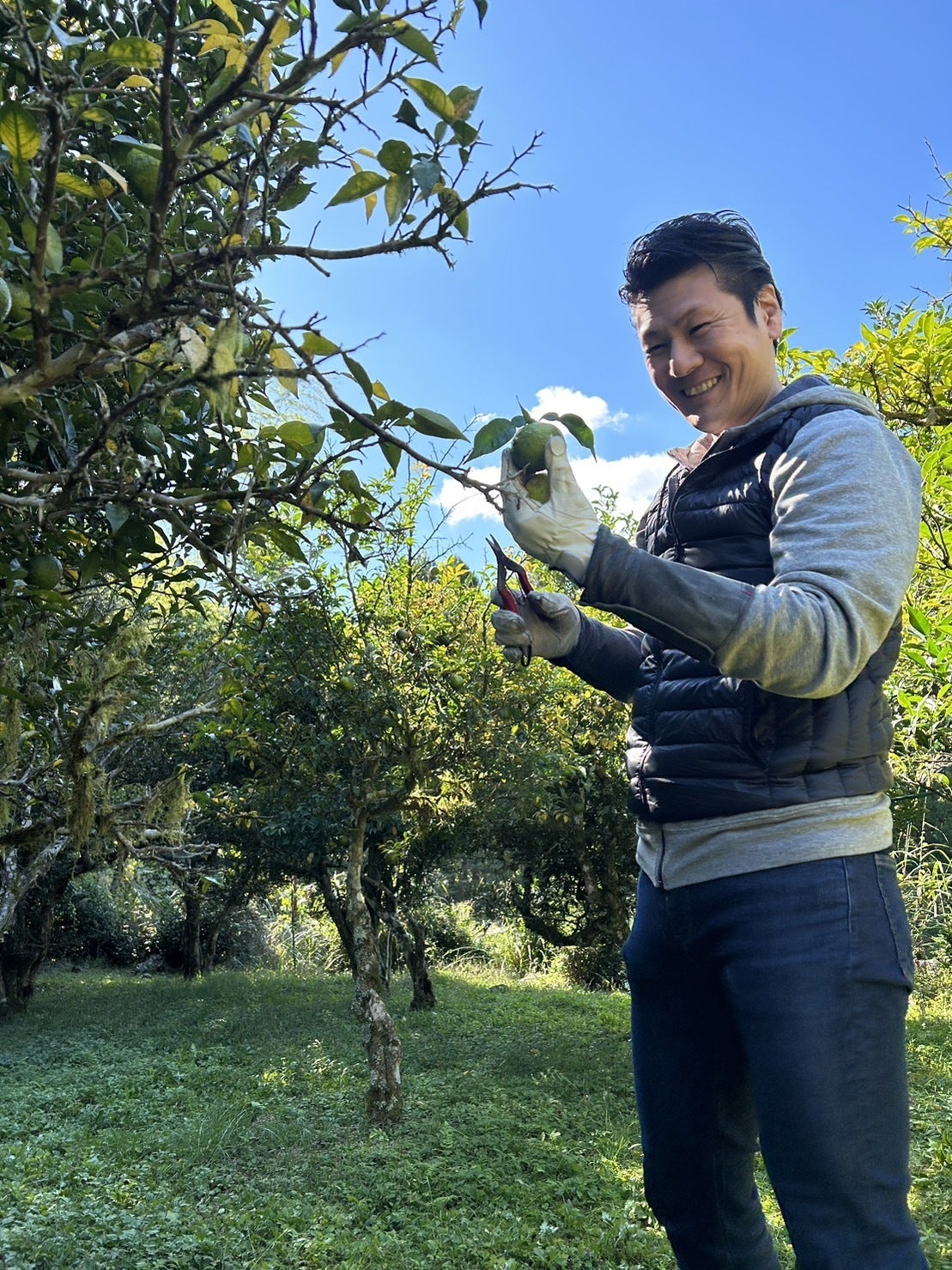爽快！希少柚子で地方創生】名産、北川村の柚子を世界ブランド化し海外