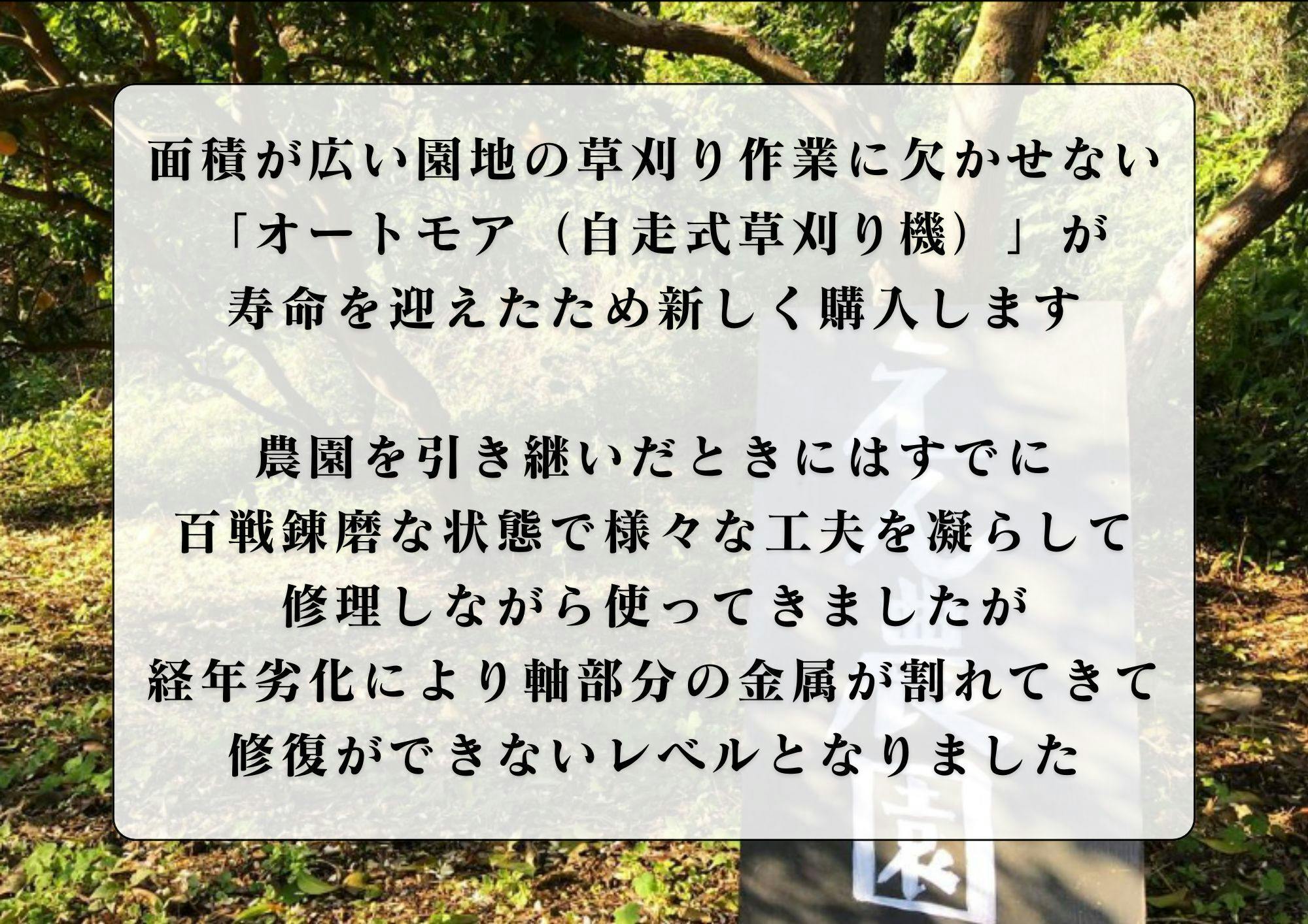 自然栽培えん農園