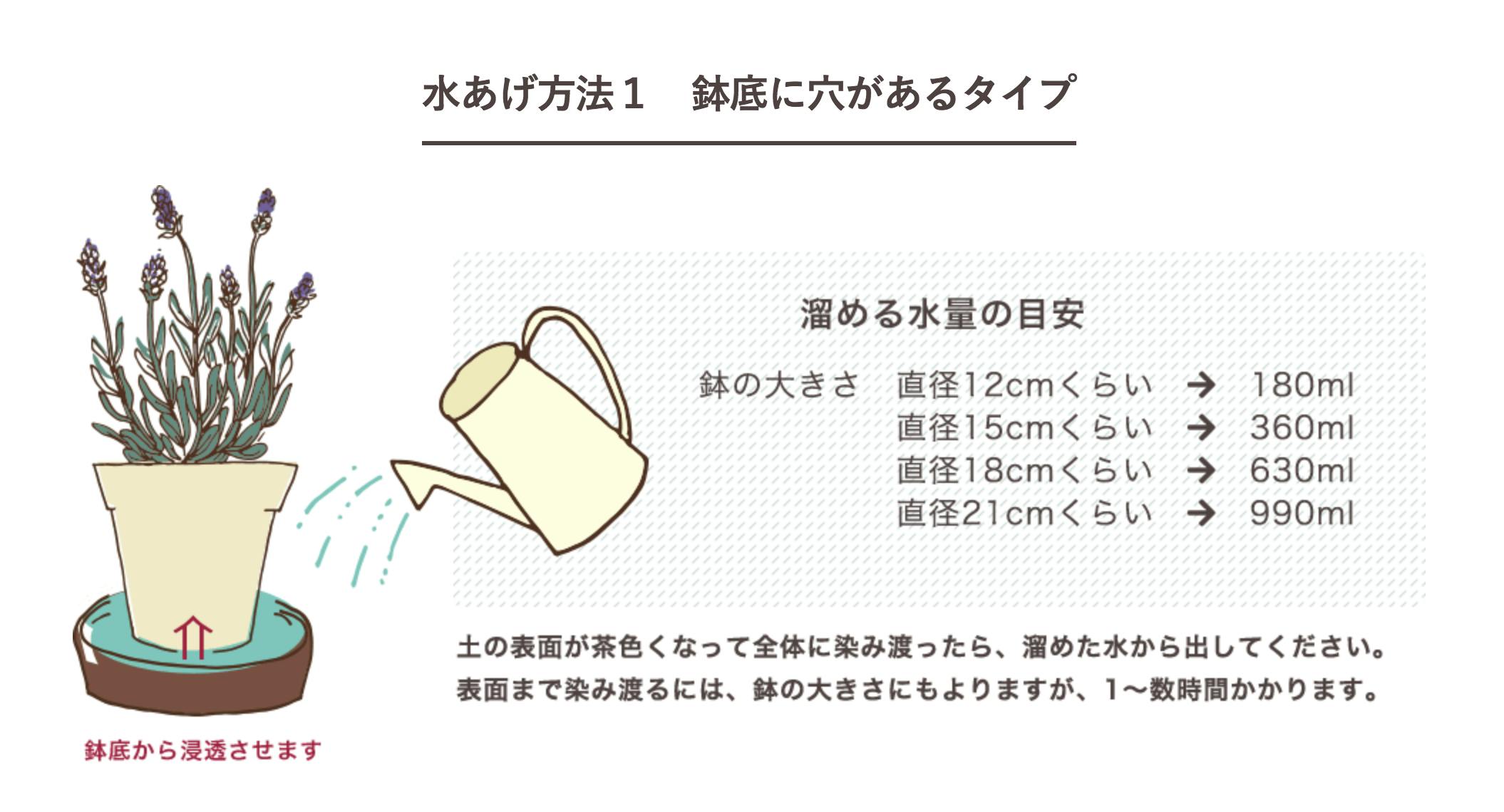 枯らしたくない人のために 土を使わない観葉植物 セラミックソイル Campfire キャンプファイヤー 枯らしたくない人のために 土を使わない観葉植物 セラミックソイル Campfire キャンプファイヤー