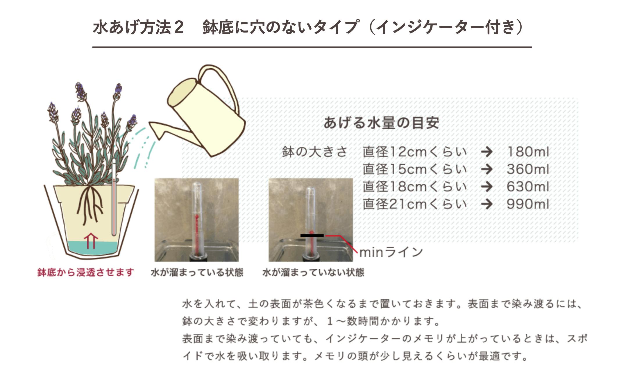 枯らしたくない人のために 土を使わない観葉植物 セラミックソイル Campfire キャンプファイヤー 枯らしたくない人のために 土を使わない観葉植物 セラミックソイル Campfire キャンプファイヤー