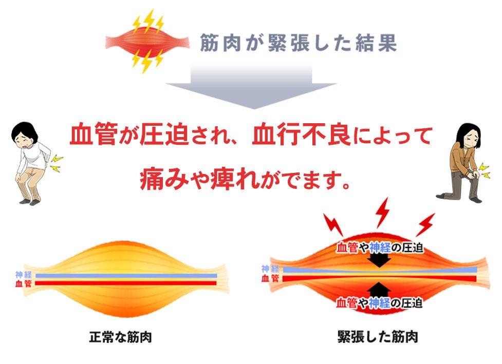 腰痛・肩こりを自力で治す。緩消法を実践する腰痛アカデミー