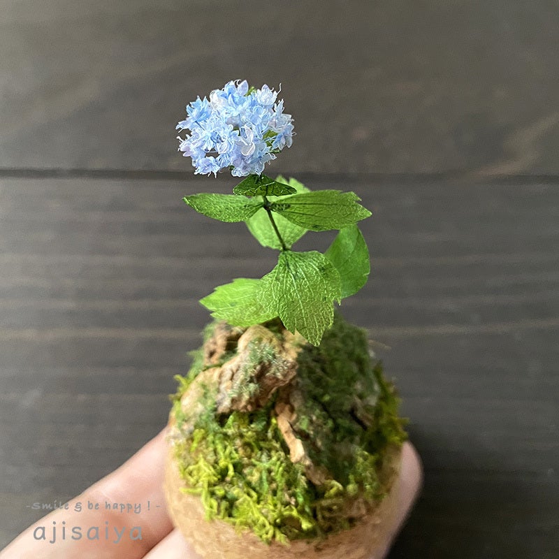 一年中お部屋に飾れる、手のひらサイズの「ミニチュア紫陽花」をお届け
