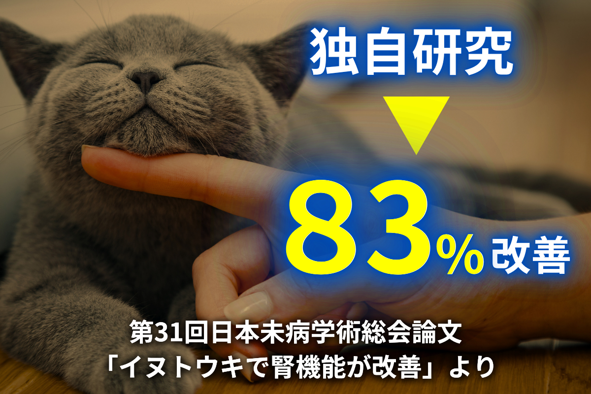 JINパワー100 猫 腎不全 腎臓 イヌトウキ サプリ 5歳からのケア 『JIN