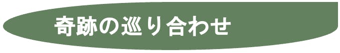 奇跡の巡り合わせ