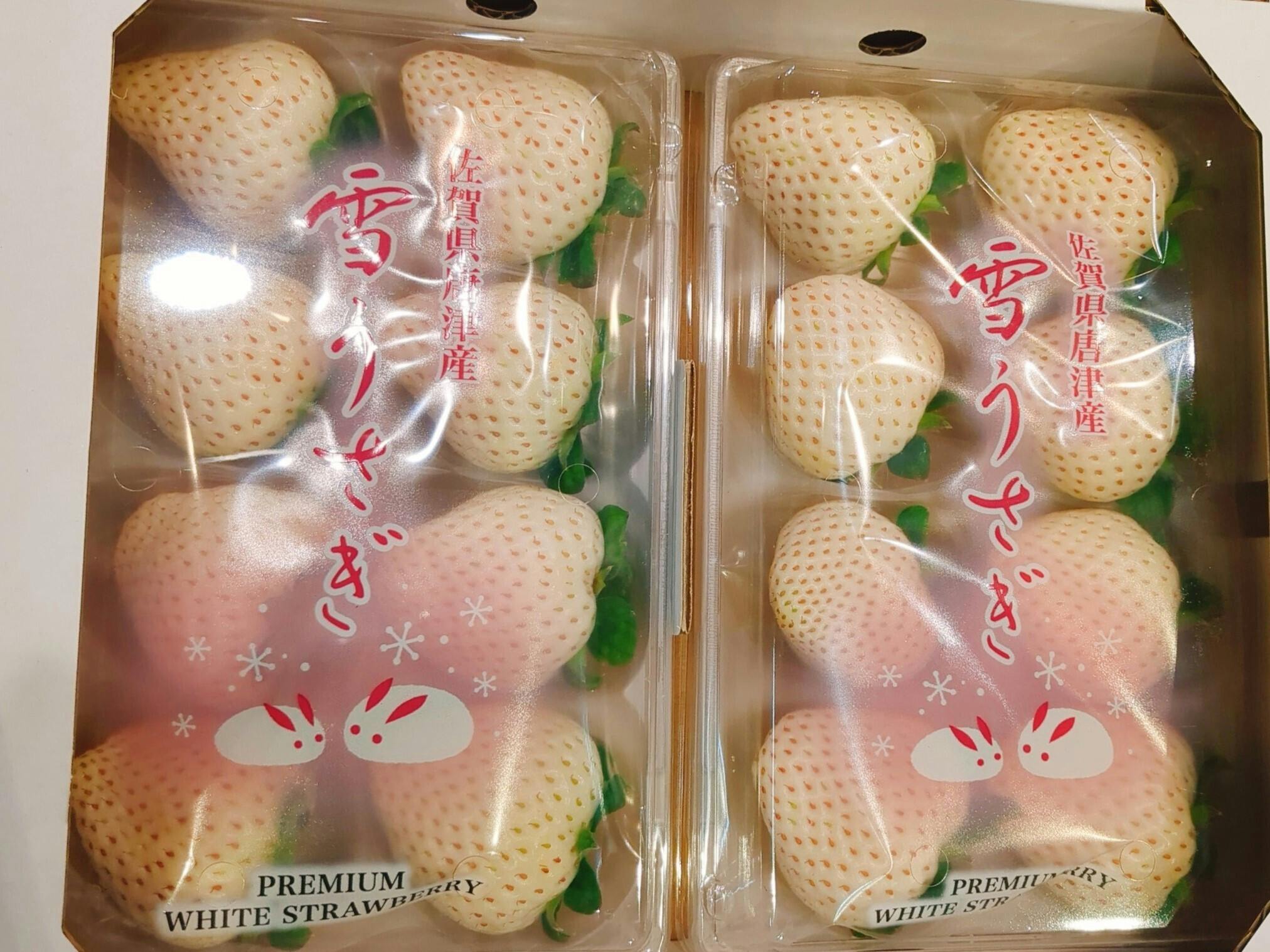 旬の激ウマいちごを食べ尽くす「超いちご箱」2025！専門家による厳選いちごセット - CAMPFIRE (キャンプファイヤー)