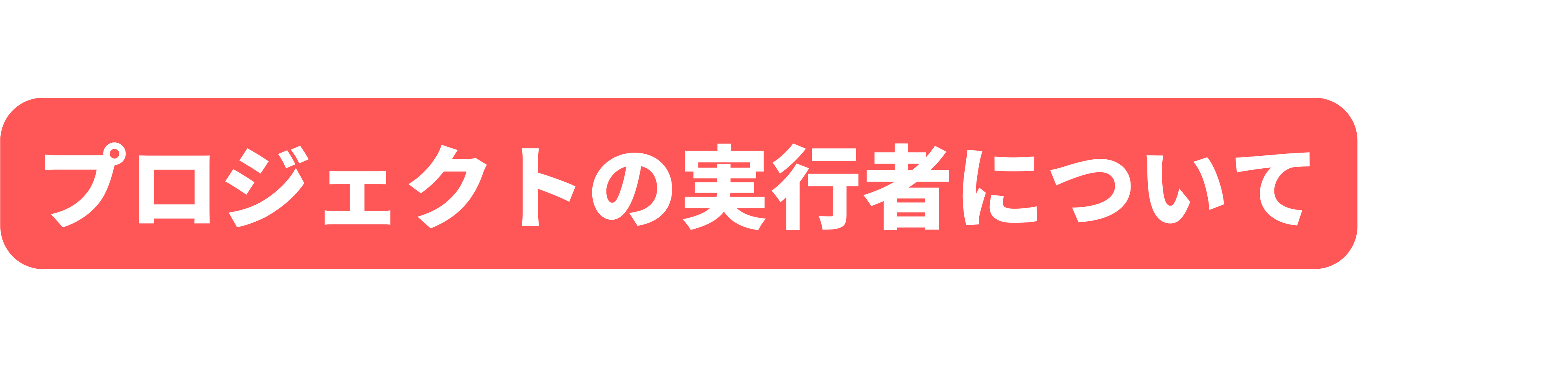 プロジェクトの実行者について