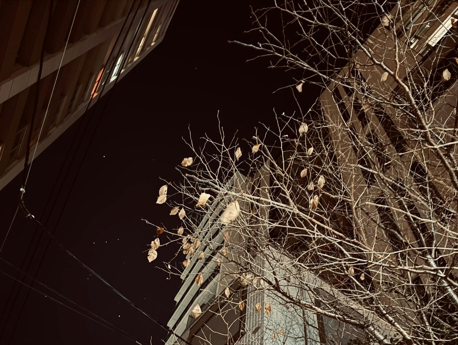 ビルの合間から見える冬の夜空。