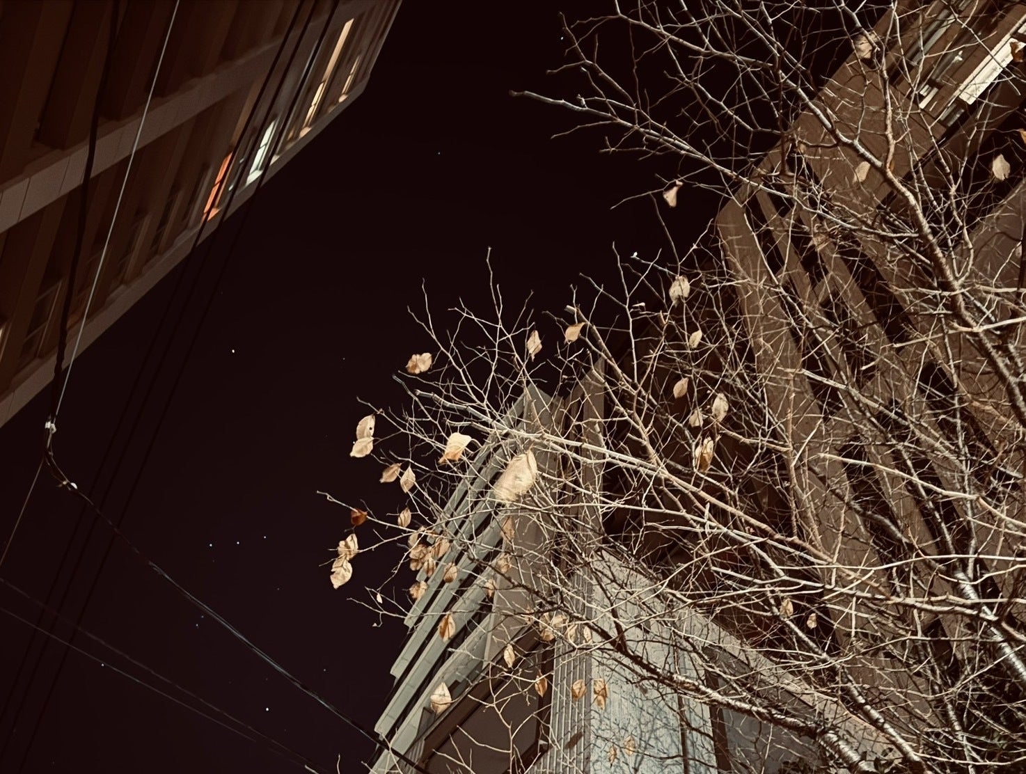 ビルの合間から見える冬の夜空。
