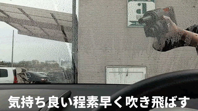 喜ばれる誕生日プレゼント 世界受注500万台突破！水洗車、シャンプー、ブロワー、これ1台で 掃除機・クリーナー