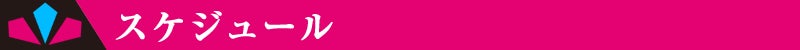 スケジュール