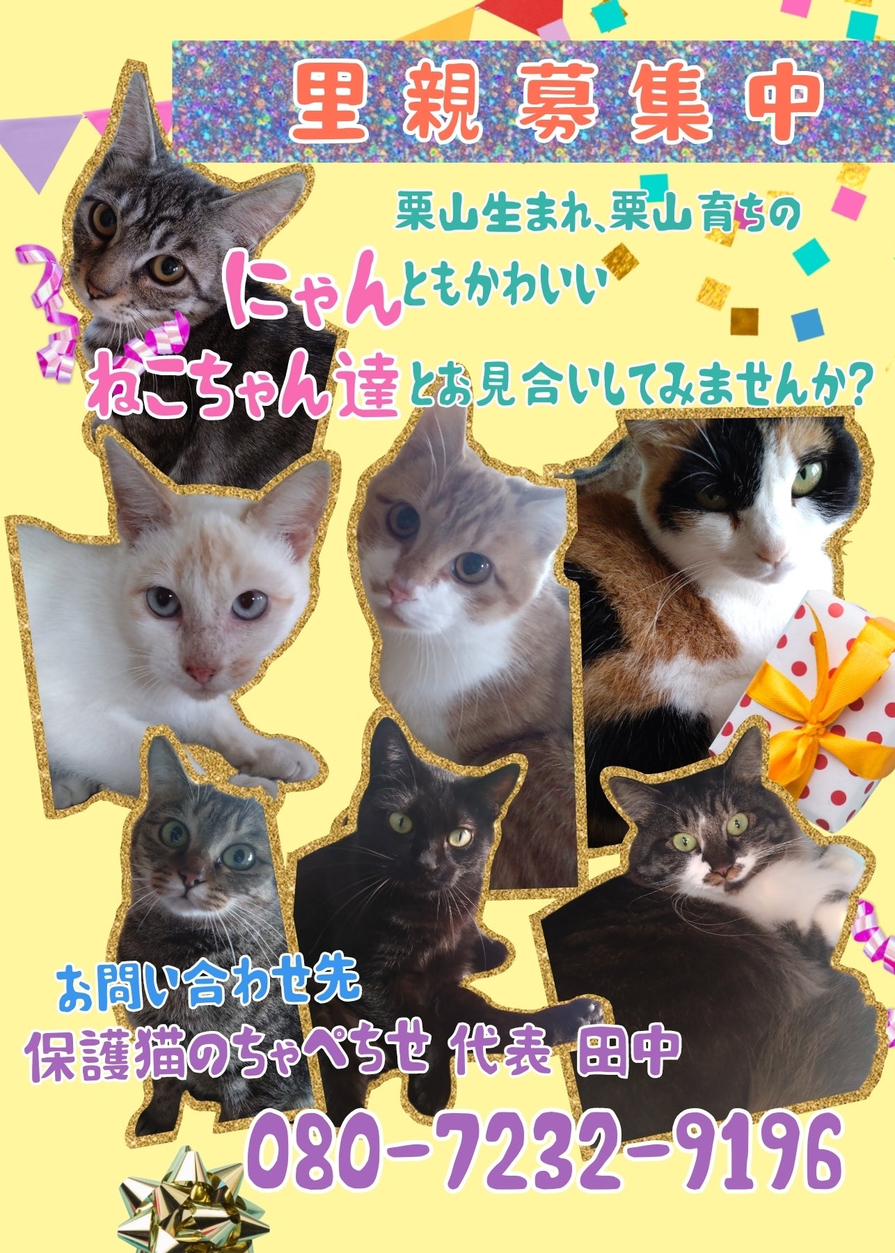 ちゃぺちせの四天王 - CAMPFIRE (キャンプファイヤー)