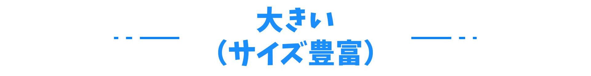 大きい(サイズ豊富)