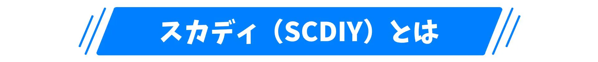 スカディ(SCDIY)とは