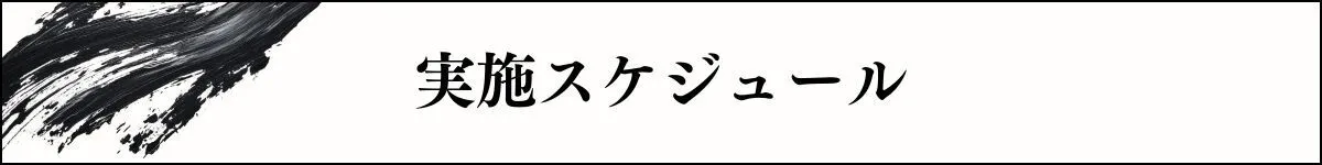 実施スケジュール