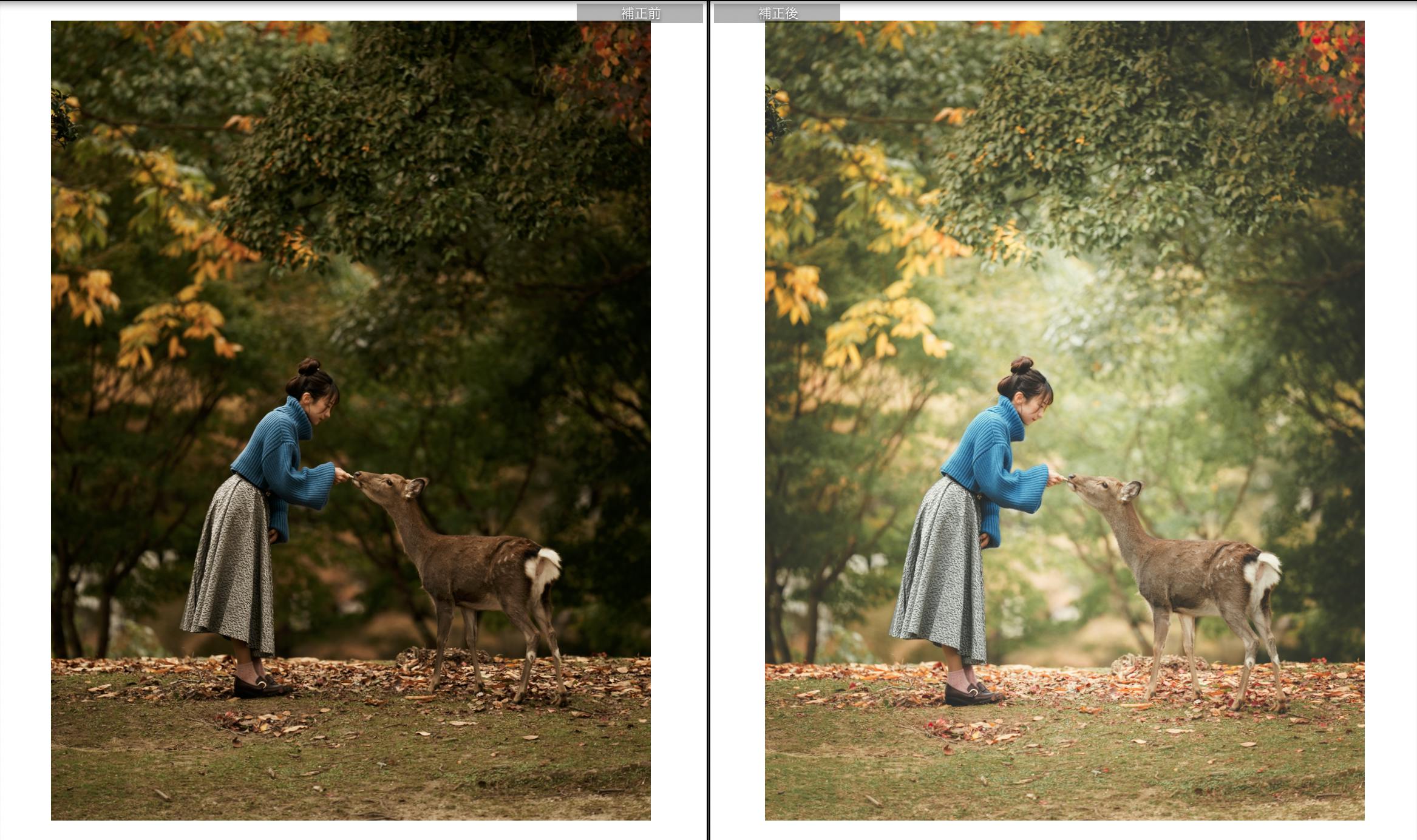 Lightroom Classic CCの現像テクニック