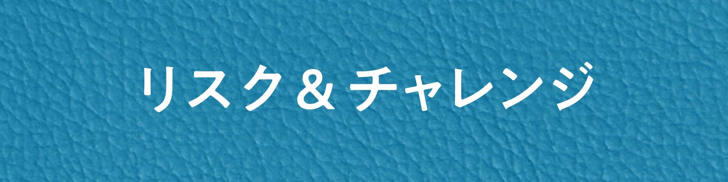 リスク&チャレンジ