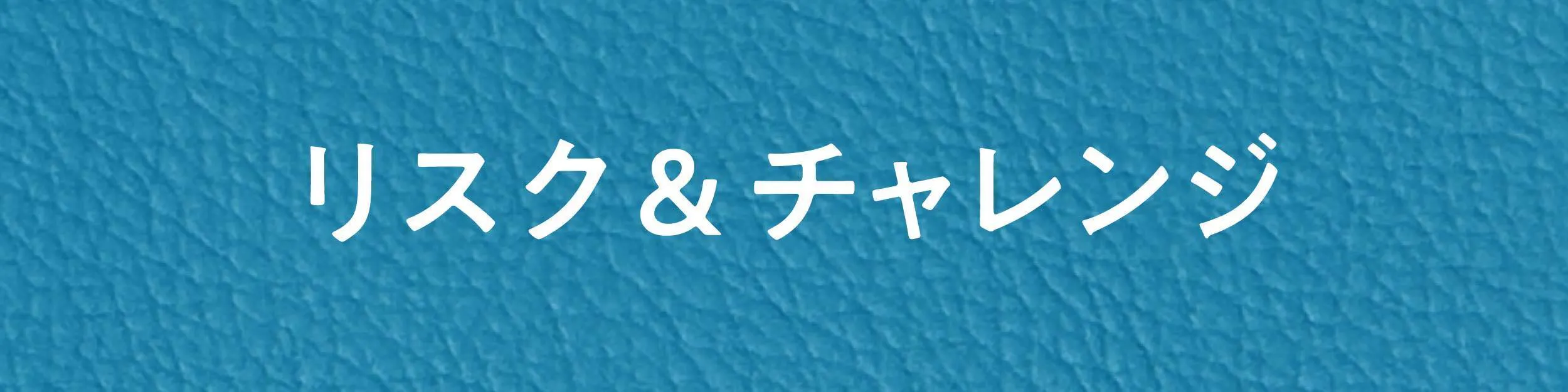 リスク&チャレンジ
