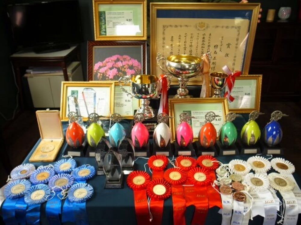 ブリーダーとして、オリジナル品種は３５０品種以上。お陰様で国内外で沢山の賞を頂きました