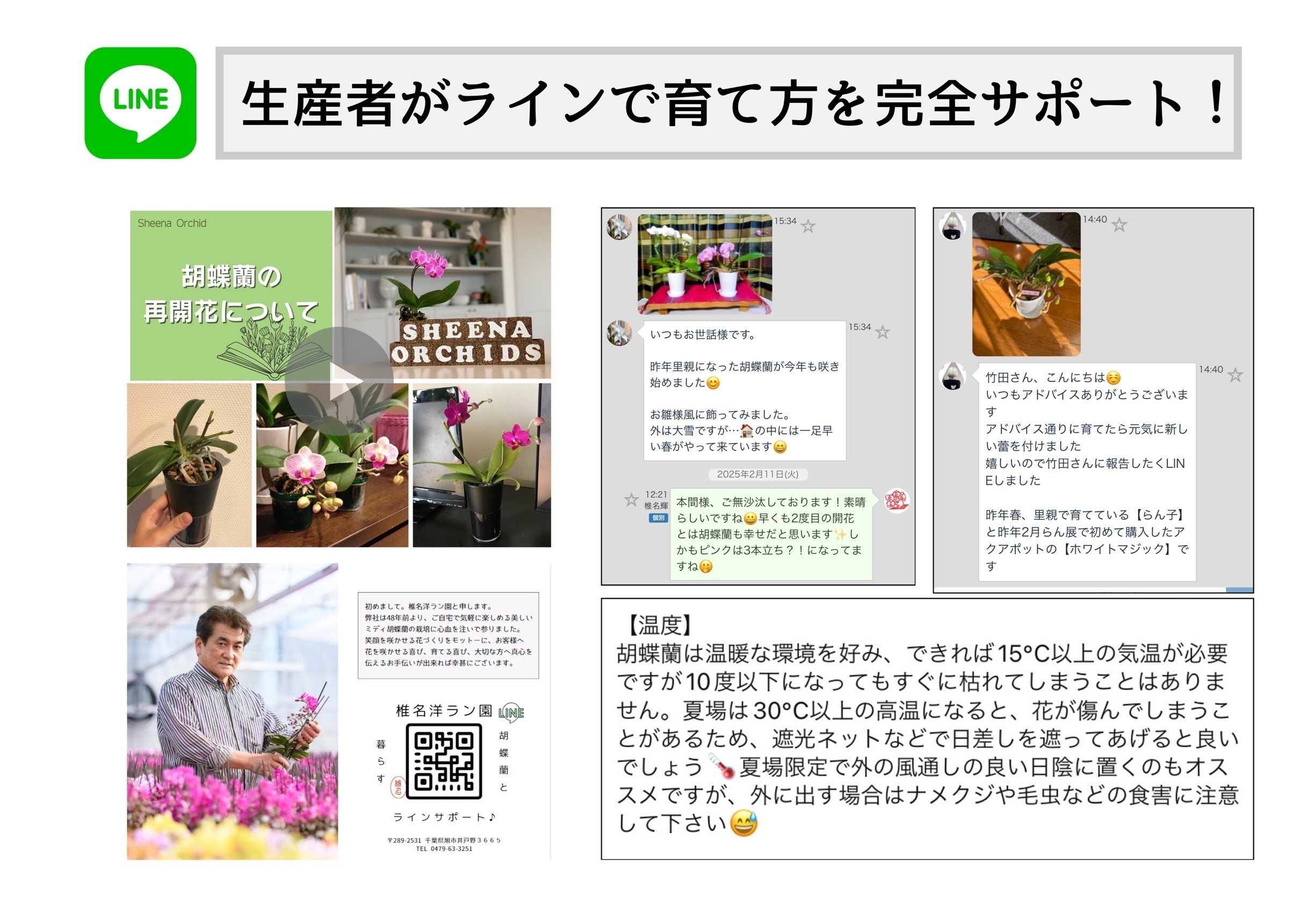 胡蝶蘭のプロと咲かせる！傷ついた小さな胡蝶蘭たちの里親募集<2nd